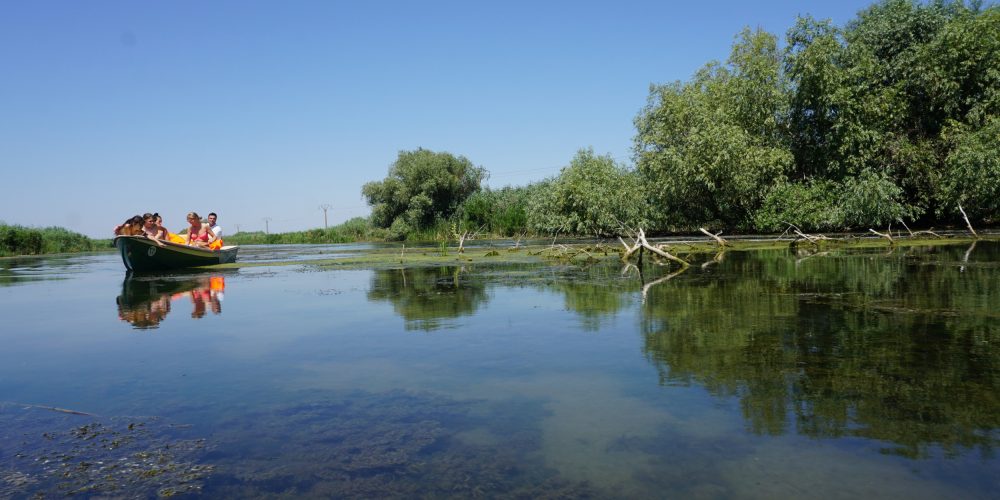 Excursii Delta Dunării